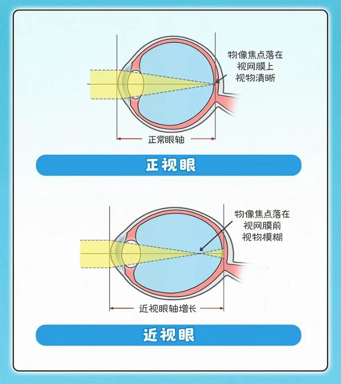 圖片.png